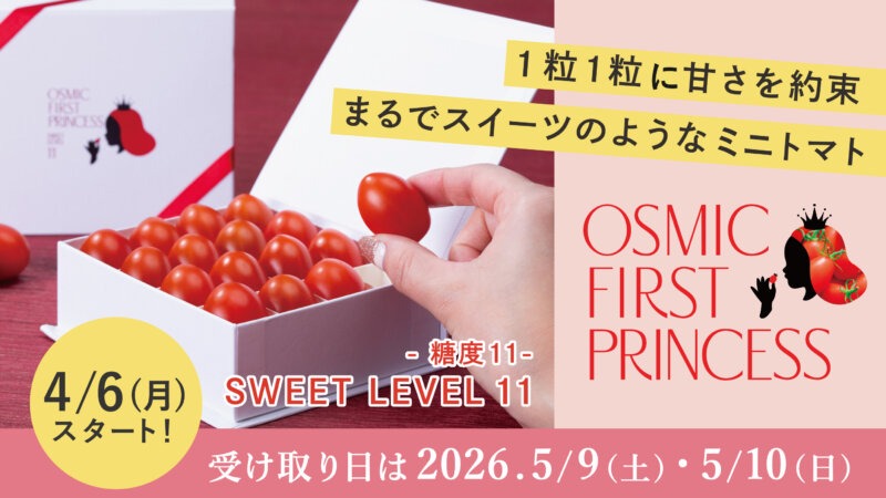 【母の日ギフト】「糖度11」驚きの甘さのミニトマト、ご予約受付中！