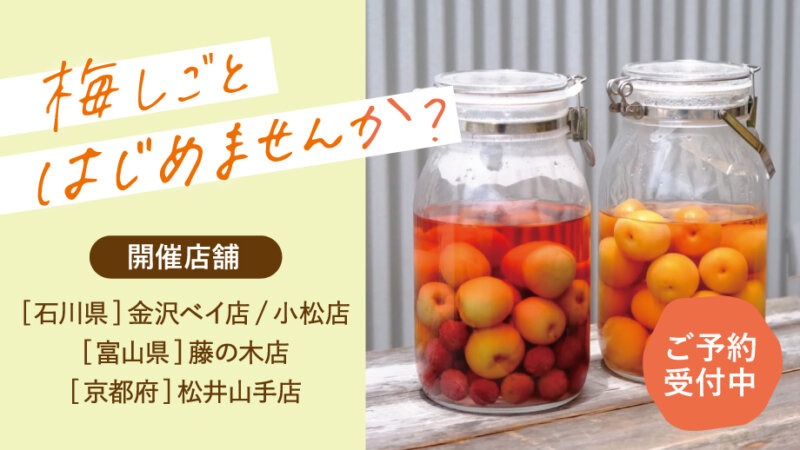 【完熟南高梅☆予約受付中】無農薬・自然栽培の生梅を販売!